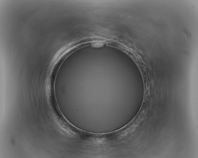 X0000112100247200908181332