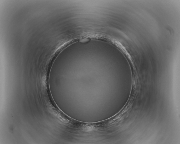 X0000112100249200908181332