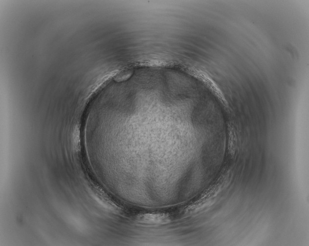 X0000112100251200908181332