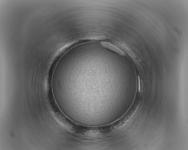 X0000112100252200908181332