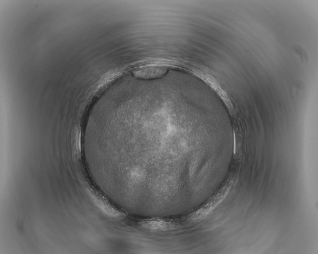 X0000112100253200908181332