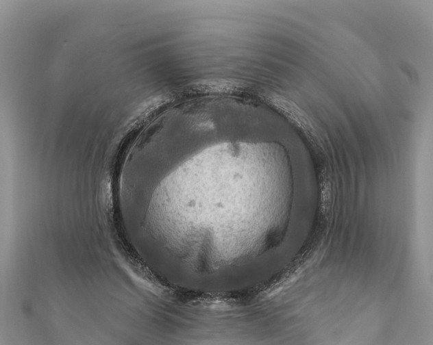 X0000112100254200908181332