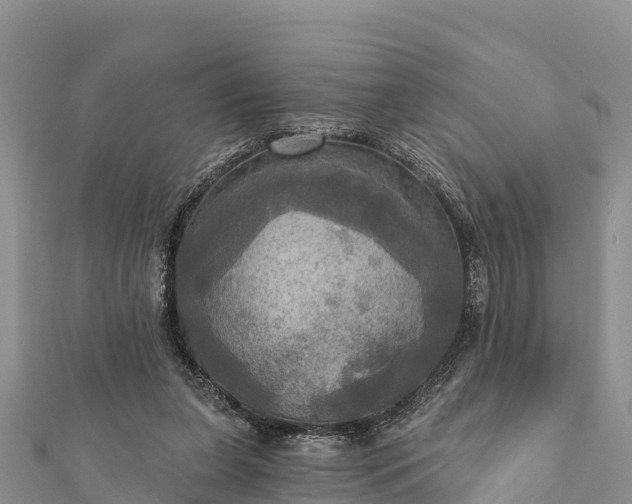 X0000112100255200908181332