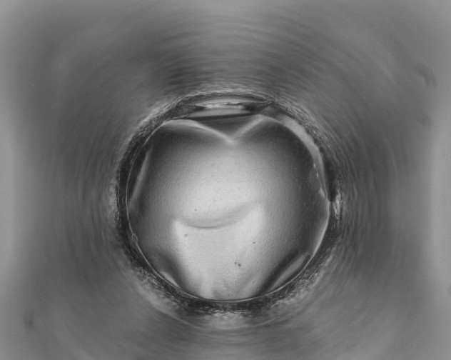 X0000112100256200908181332