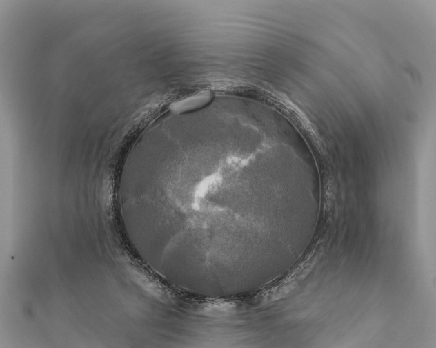 X0000112100257200908181332