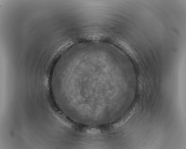 X0000112100258200908181332