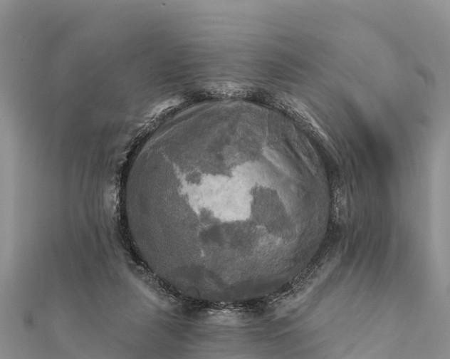 X0000112100259200908181332