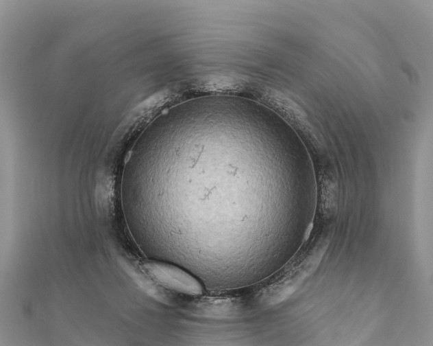 X0000112100260200908181332