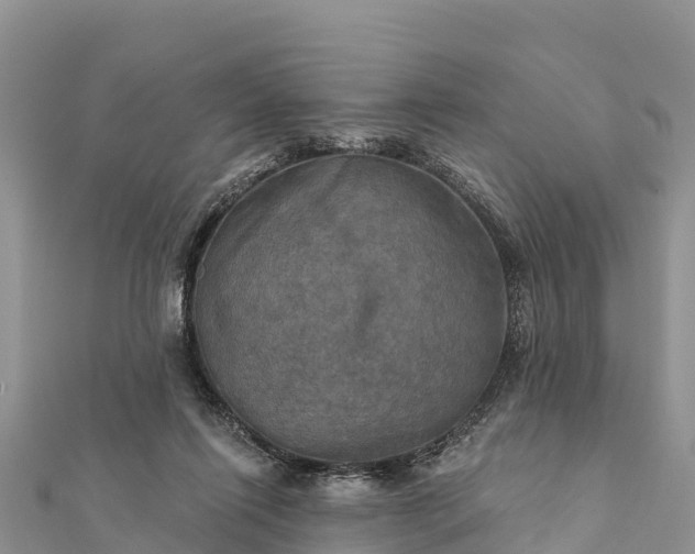 X0000112100262200908181332