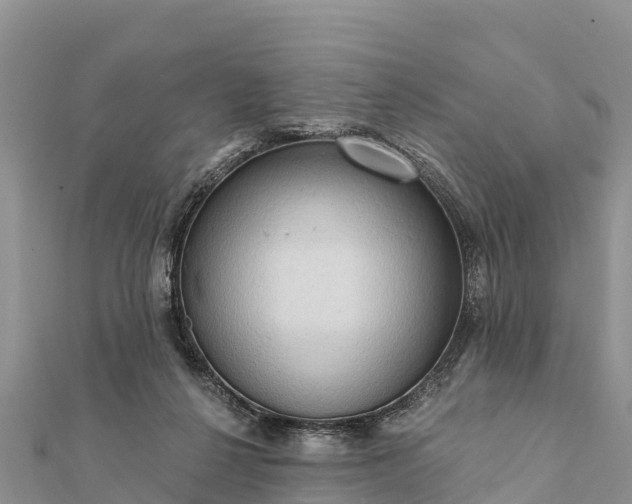 X0000112100264200908181332