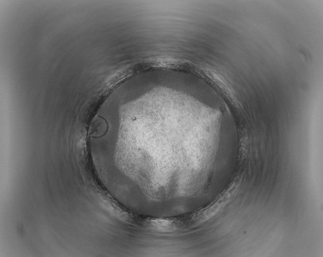 X0000112100265200908181332