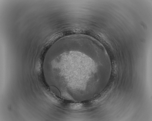 X0000112100266200908181332