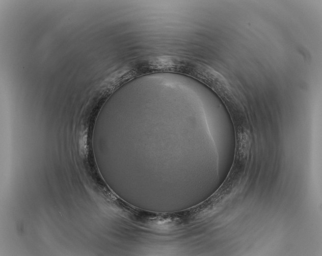 X0000112100267200908181332