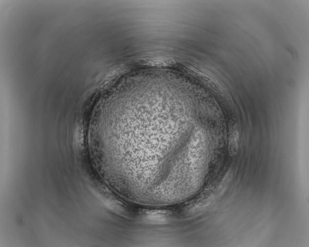 X0000112100268200908181332