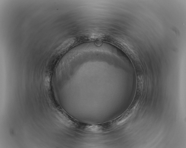 X0000112100269200908181332