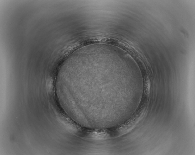 X0000112100270200908181332