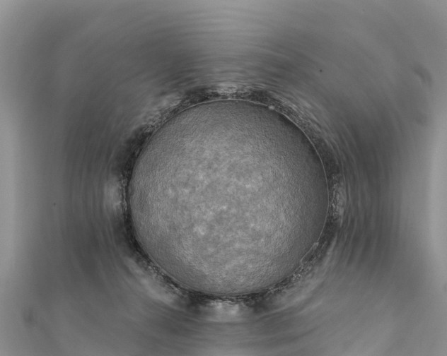 X0000112100272200908181332