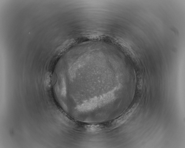 X0000112100273200908181332