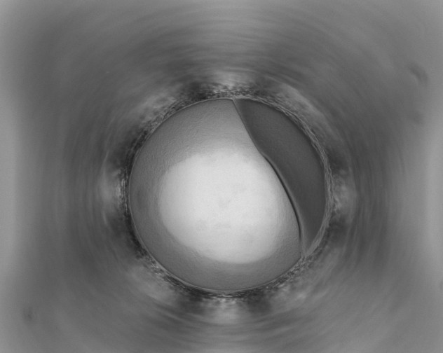 X0000112100276200908181332