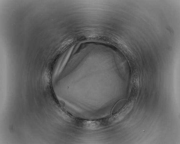 X0000112100277200908181332