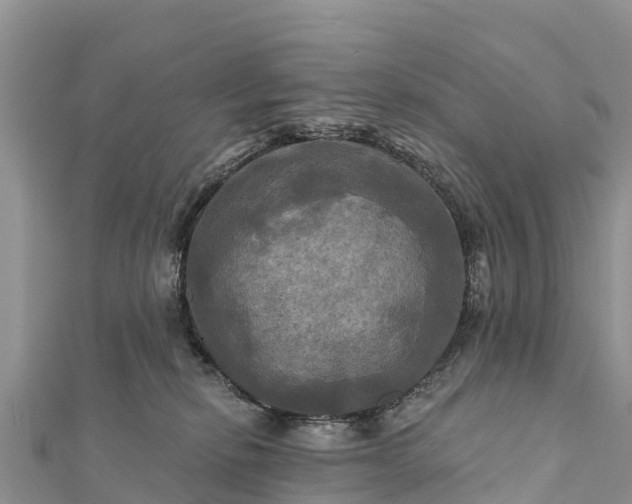 X0000112100278200908181332