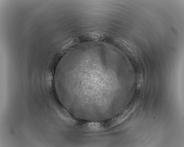 X0000112100279200908181332