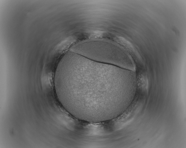 X0000112100280200908181332