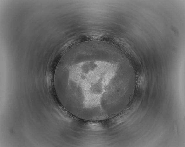 X0000112100283200908181332