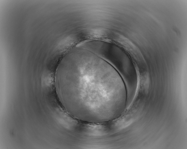 X0000112100284200908181332