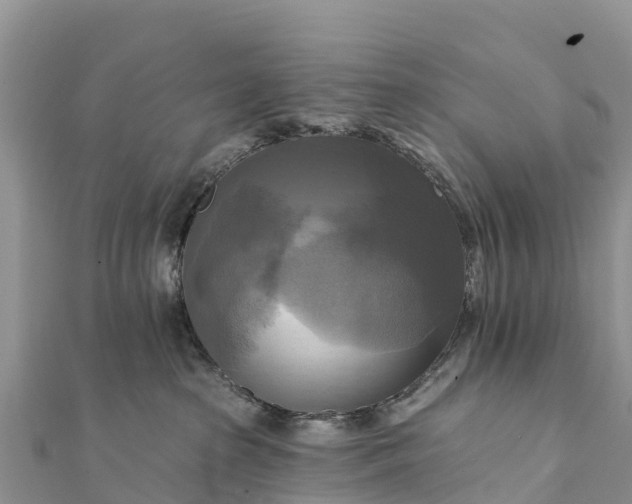 X0000112100285200908181332