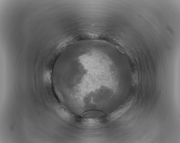 X0000112100286200908181332