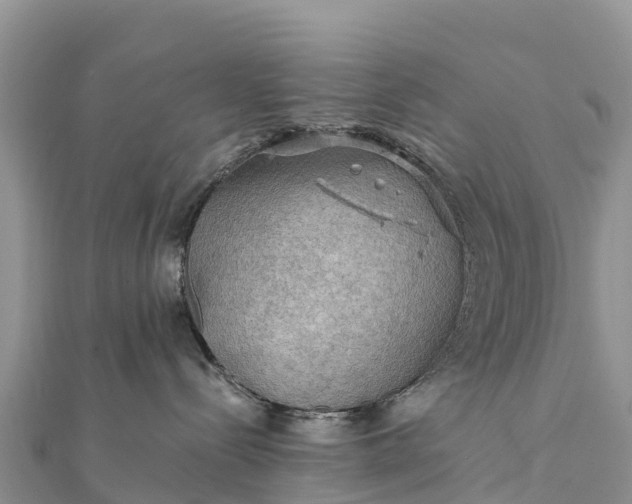 X0000112100288200908181332