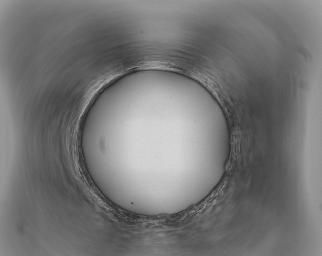 X0000112100289200908181332