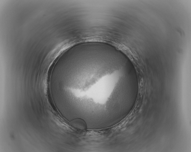 X0000112100290200908181332