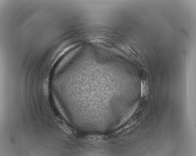 X0000112100291200908181332