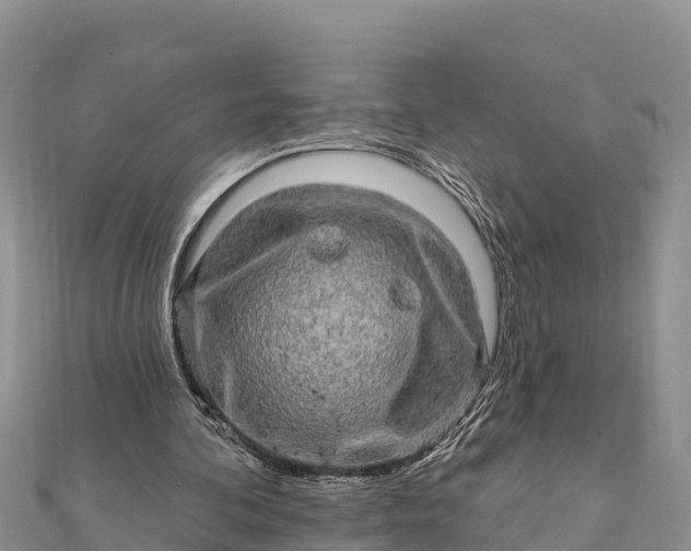 X0000112100292200908181332