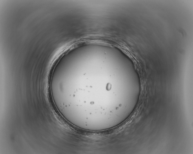 X0000112100293200908181332