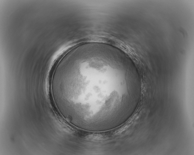 X0000112100294200908181332