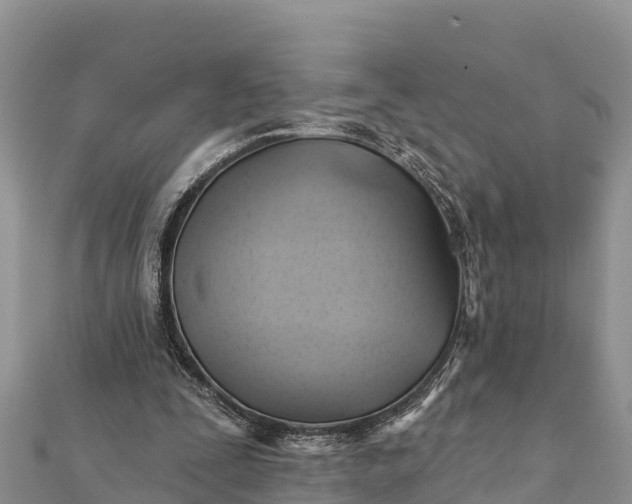 X0000112100295200908181332