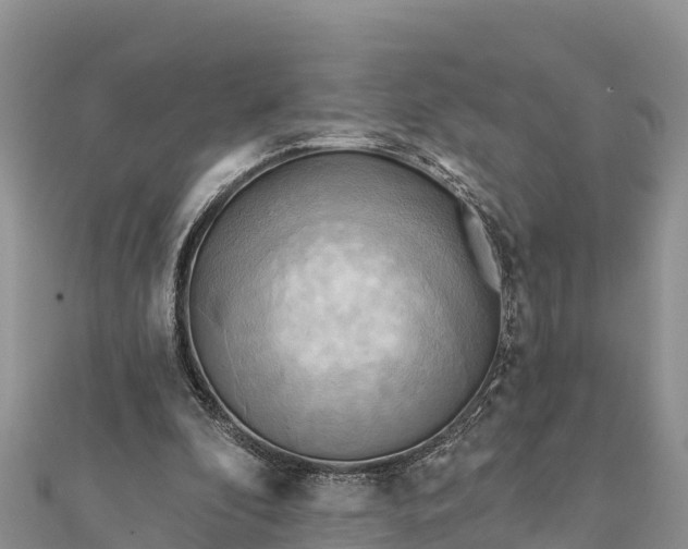 X0000112100296200908181332