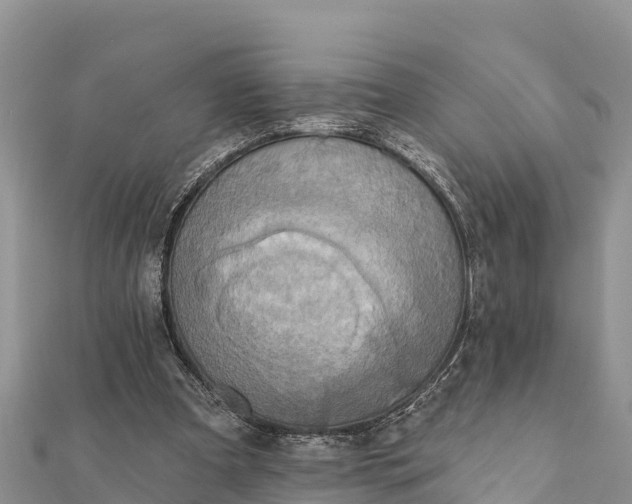 X0000112100297200908181332