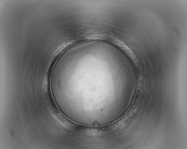 X0000112100298200908181331