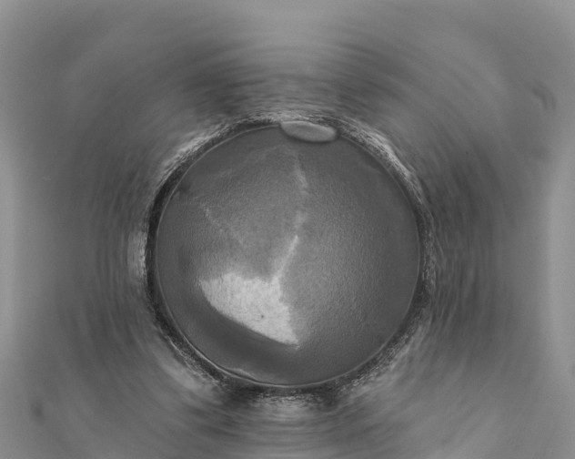 X0000112100299200908181331