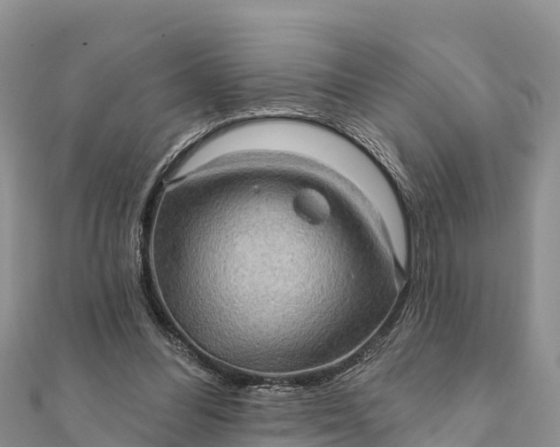 X0000112100300200908181331