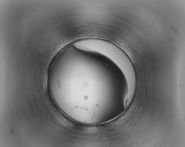 X0000112100301200908181331