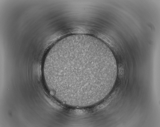 X0000112100302200908181331