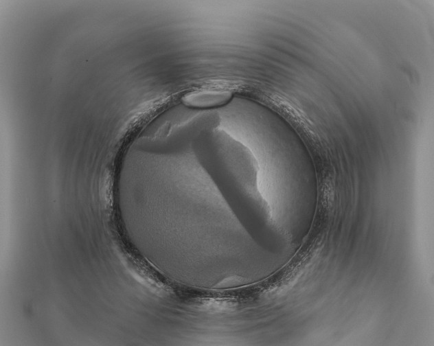 X0000112100303200908181331