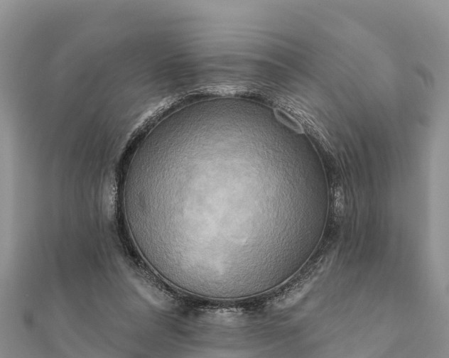 X0000112100304200908181331