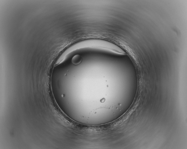 X0000112100305200908181331