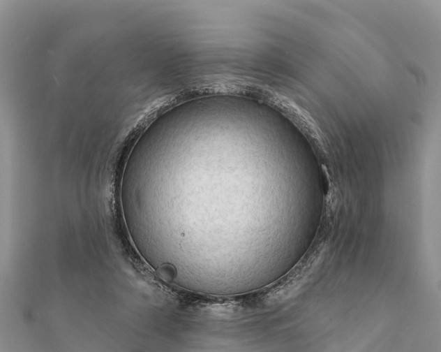 X0000112100306200908181331